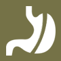 LiveBariatric surgery, Bariatric surgery Training Video