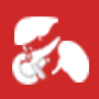 Endocrine & solid organs, Endocrine & solid organs surgery Training Video